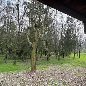 Woods Apartmán
